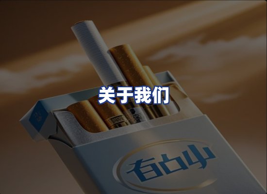 专业团队
